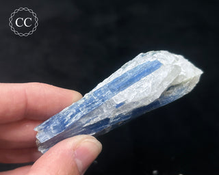 Blue Kyanite in Quartz #15