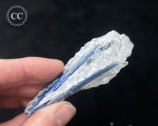 Blue Kyanite in Quartz #15