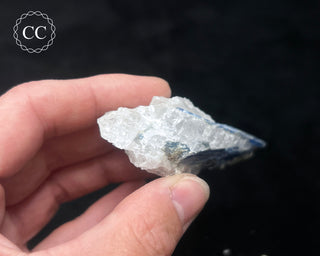 Blue Kyanite in Quartz #15