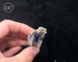 Blue Kyanite in Quartz #15