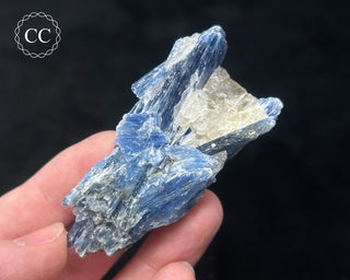 Blue Kyanite in Quartz #16