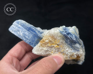 Blue Kyanite in Quartz #3
