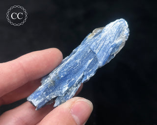Blue Kyanite in Quartz #16