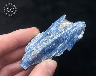 Blue Kyanite in Quartz #16