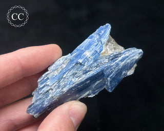Blue Kyanite in Quartz #16