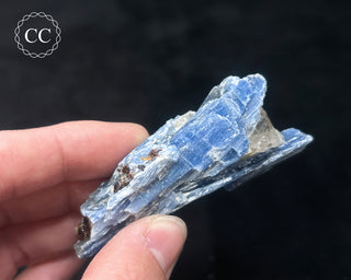 Blue Kyanite in Quartz #16