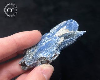 Blue Kyanite in Quartz #16