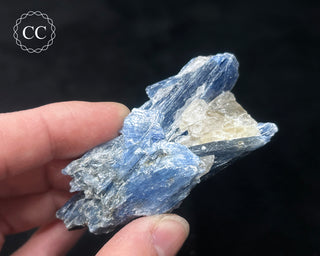 Blue Kyanite in Quartz #16