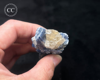 Blue Kyanite in Quartz #16