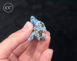 Blue Kyanite in Quartz #16