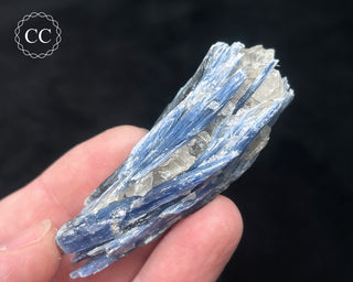 Blue Kyanite in Quartz #17