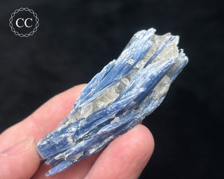Blue Kyanite in Quartz #17