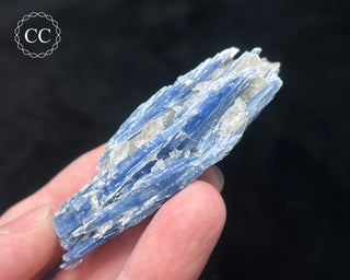 Blue Kyanite in Quartz #17