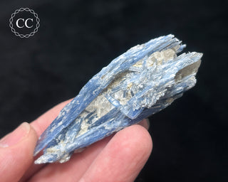 Blue Kyanite in Quartz #17