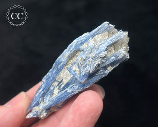 Blue Kyanite in Quartz #17