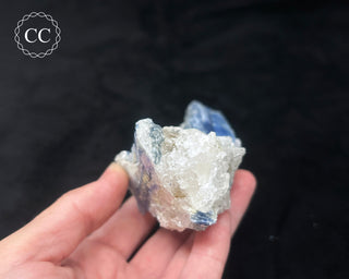 Blue Kyanite in Quartz #3