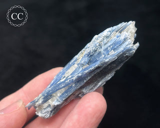 Blue Kyanite in Quartz #17