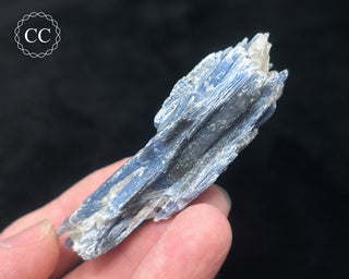 Blue Kyanite in Quartz #17
