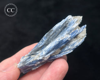 Blue Kyanite in Quartz #17