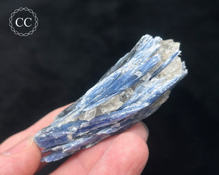 Blue Kyanite in Quartz #17