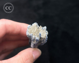 Blue Kyanite in Quartz #17
