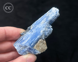 Blue Kyanite in Quartz #2