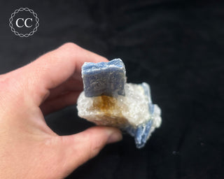 Blue Kyanite in Quartz #3