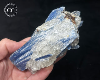 Blue Kyanite in Quartz #4
