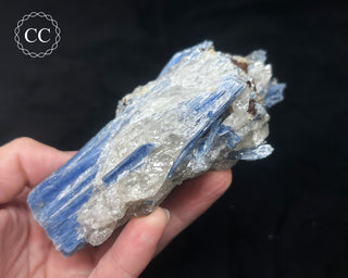 Blue Kyanite in Quartz #4