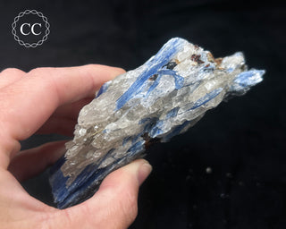 Blue Kyanite in Quartz #4