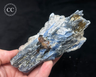 Blue Kyanite in Quartz #4
