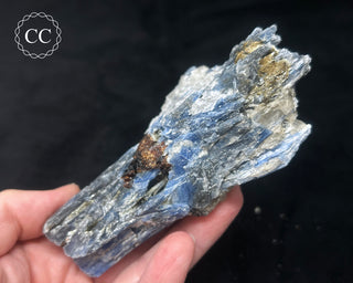 Blue Kyanite in Quartz #4