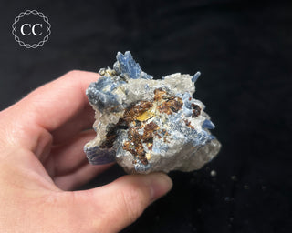 Blue Kyanite in Quartz #4