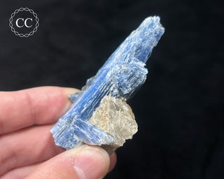 Blue Kyanite in Quartz #2