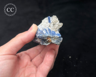 Blue Kyanite in Quartz #4