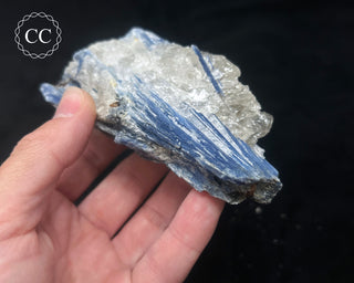 Blue Kyanite in Quartz #4