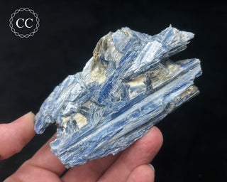 Blue Kyanite in Quartz #5