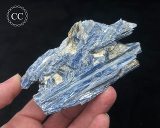 Blue Kyanite in Quartz #5