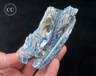 Blue Kyanite in Quartz #5