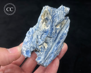 Blue Kyanite in Quartz #5
