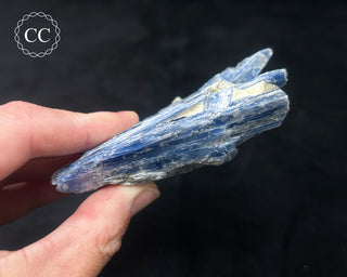 Blue Kyanite in Quartz #5