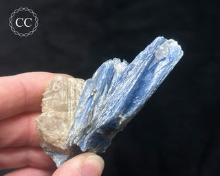 Blue Kyanite in Quartz #2