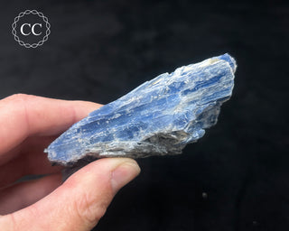 Blue Kyanite in Quartz #5