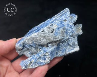 Blue Kyanite in Quartz #5