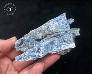 Blue Kyanite in Quartz #5