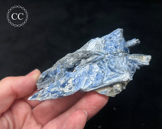 Blue Kyanite in Quartz #5