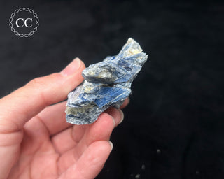 Blue Kyanite in Quartz #5