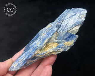 Blue Kyanite in Quartz #8