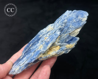 Blue Kyanite in Quartz #8