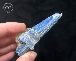 Blue Kyanite in Quartz #2
